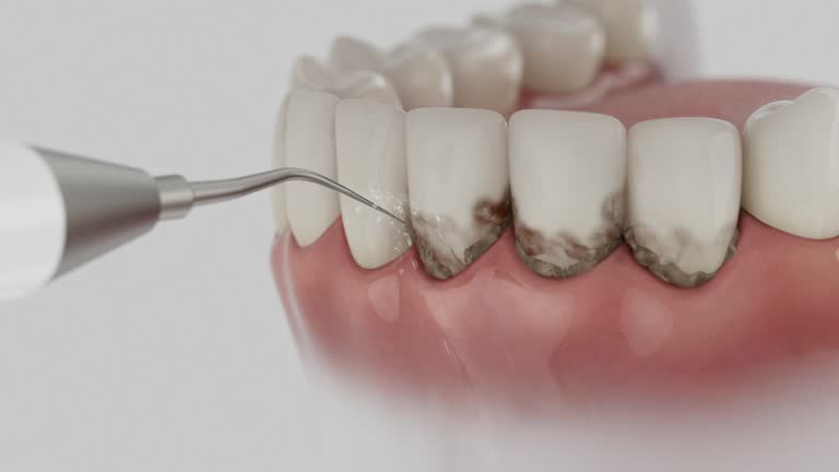Reliable Dental contractor in Jackson County County, MI by Dentist Open Now